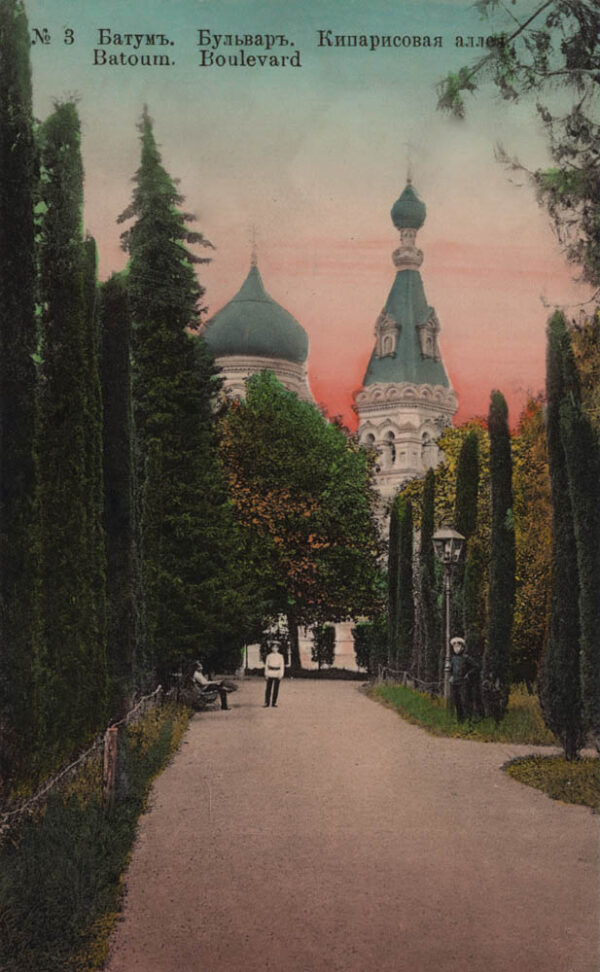 02550_Batumi_Boulevard_Cypress_alley