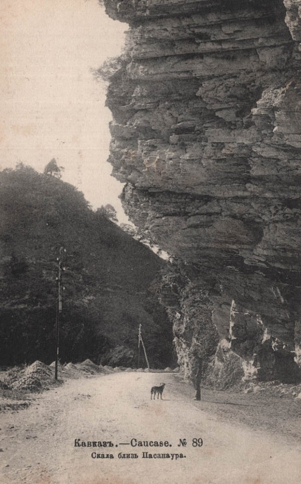 02848_Rock_near_Passanauri