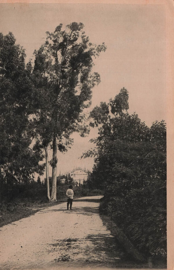 03036_Chakva_station_road