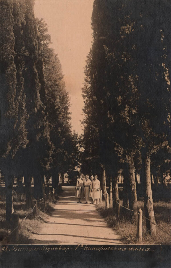 04060_Batumi_Boulevard_Cypress_alley